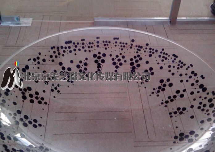 隐形眼镜宣传彩绘